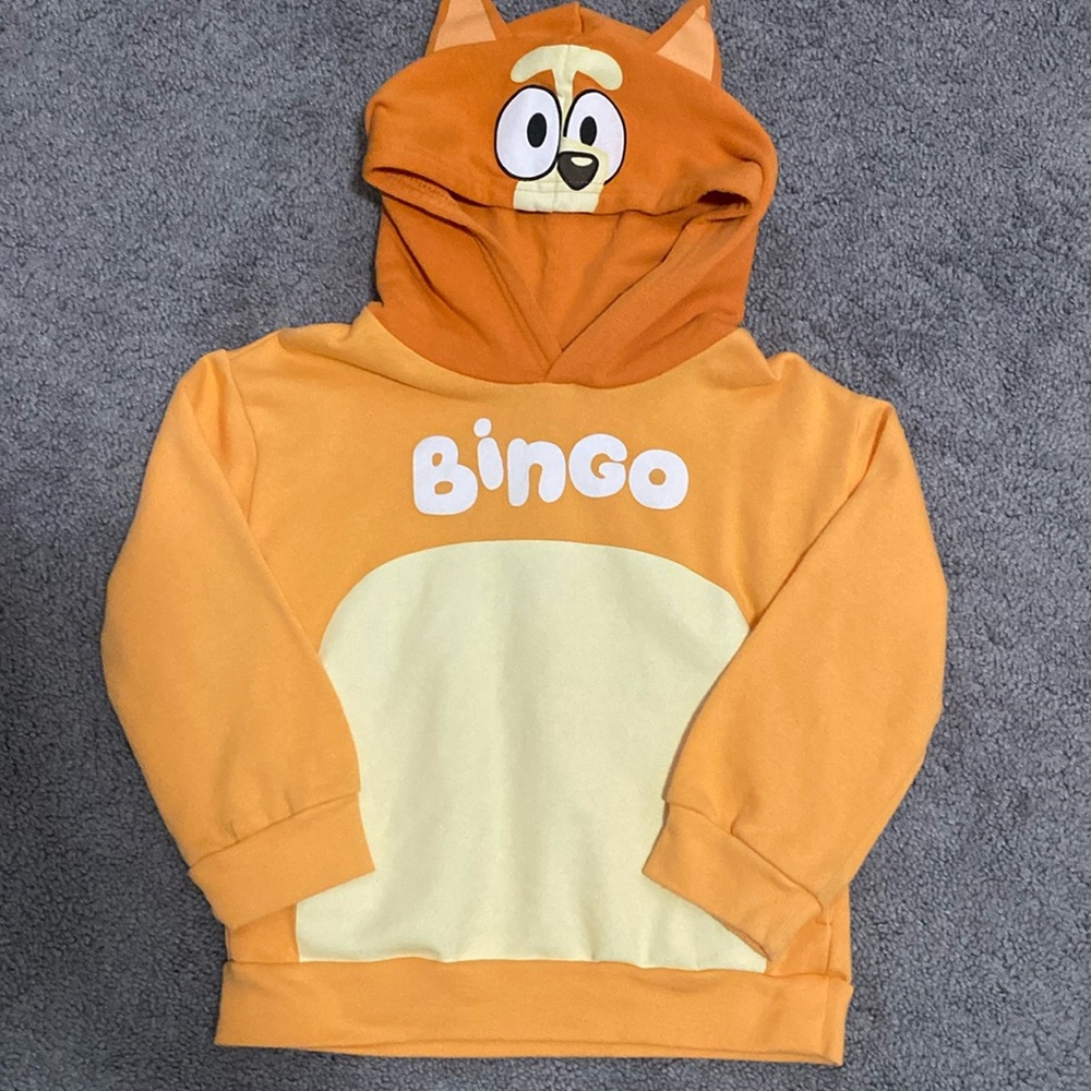 Bluey Bingo kids hoodie costume